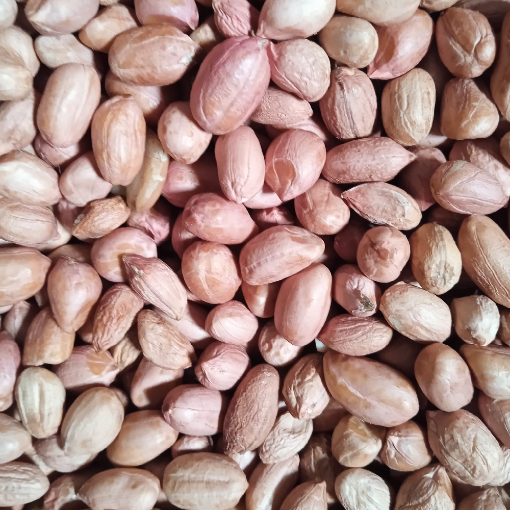 Peanut Rose