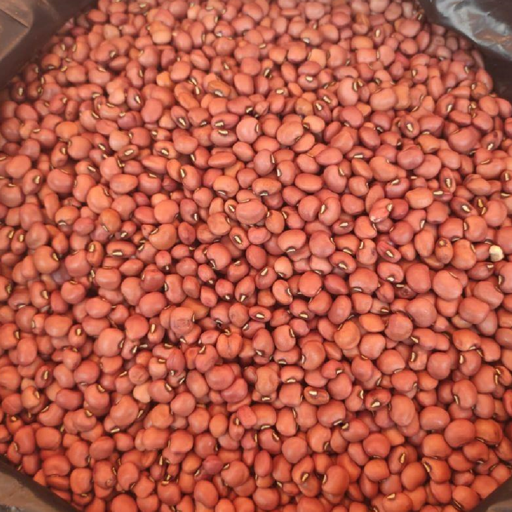 Red Cowpeas
