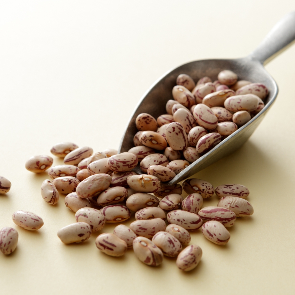 White Pinto Beans product 2