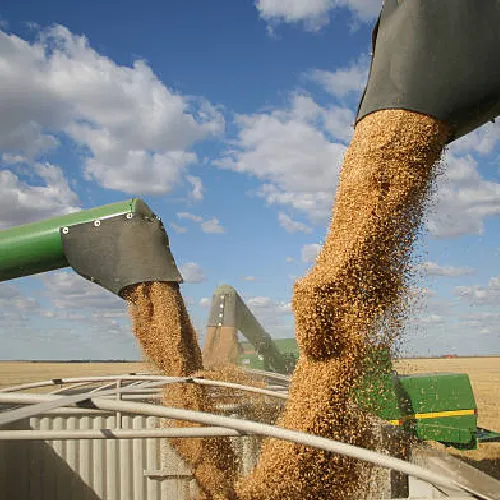 Wheat shipping